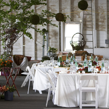 Outdoor Dinner Party
