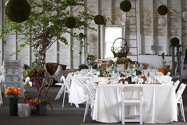Outdoor Dinner Party