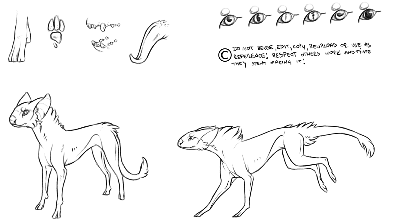 Noname species animation _ full copyrigh