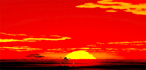lion king .gif