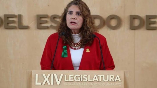 ENTREVISTA: DIPUTADA MARÍA MAGDALENA ROSALES CRUZ (MORENA)