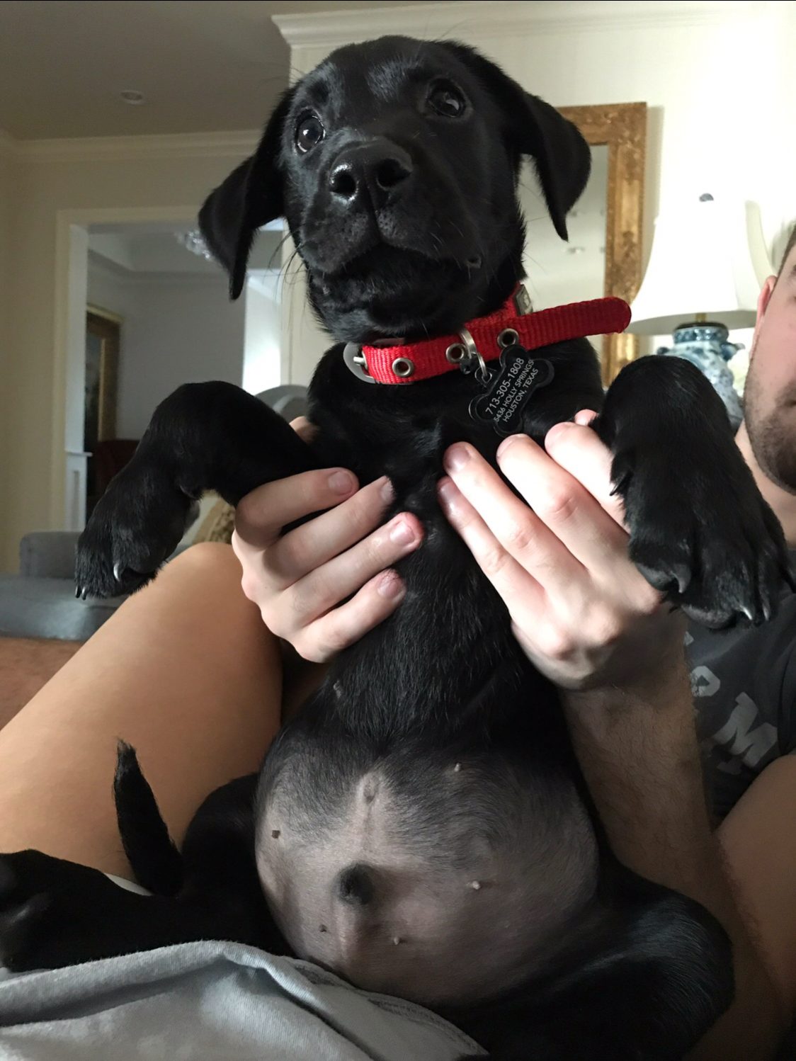 Look how big I'm getting
