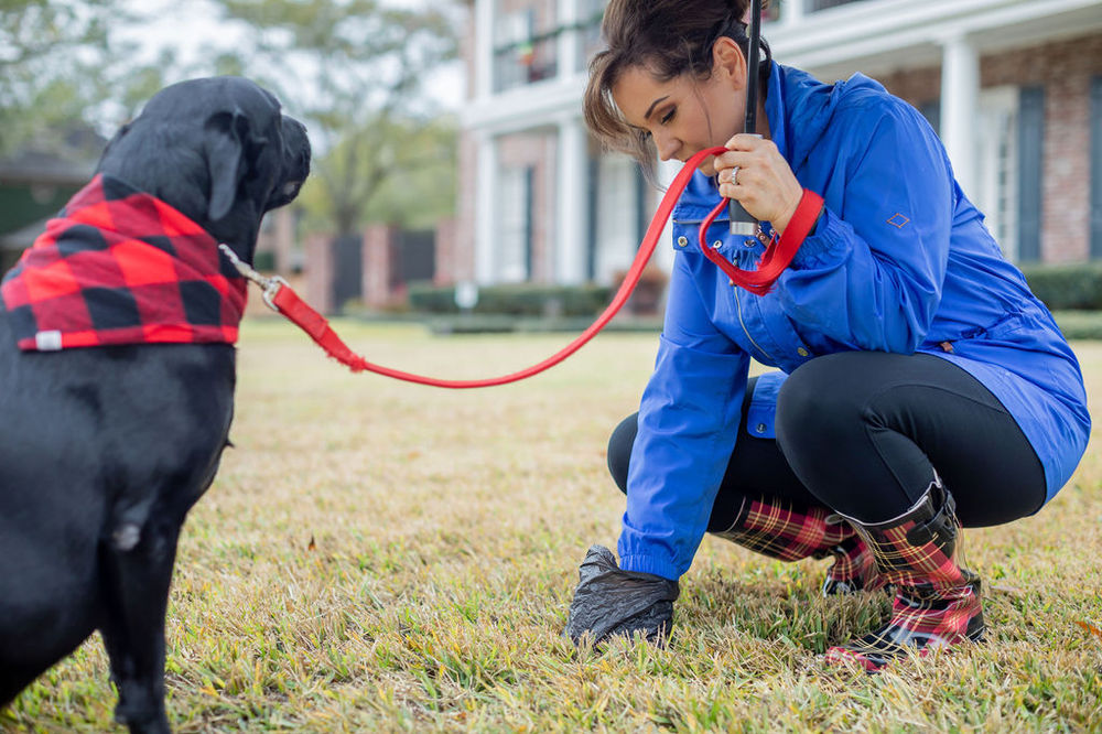 Happy Mom, Happy Dad, Happy Dog 12 Tips on Dog Etiquette
