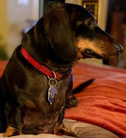 “Wait. Let me give you my profile."