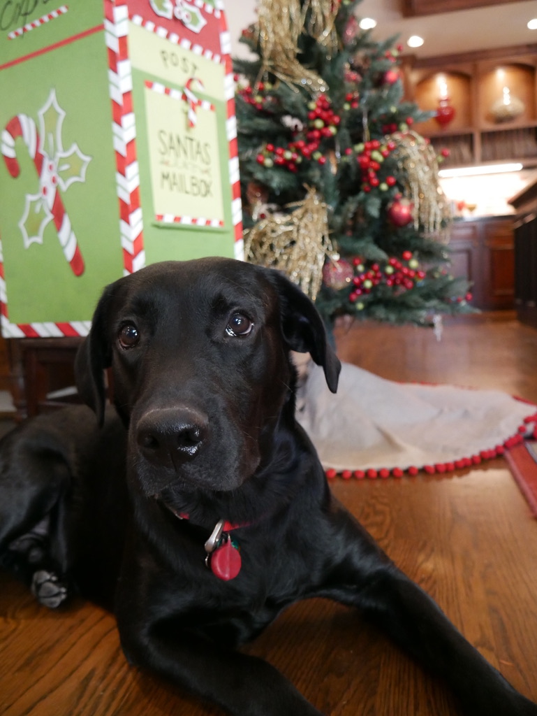 Christmas Time