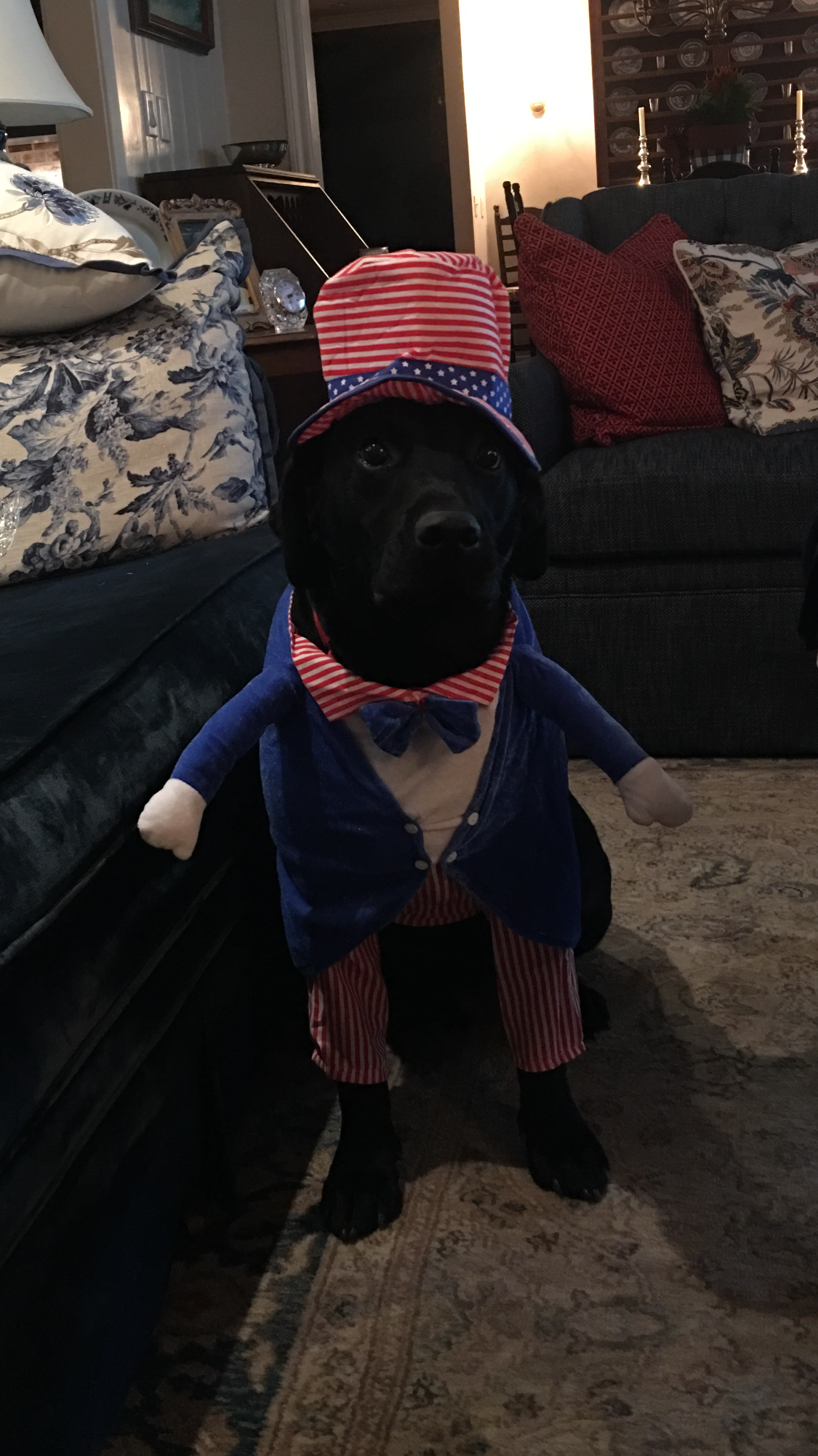 Halloween Costume