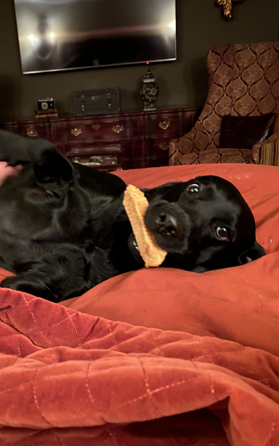 Bedtime
