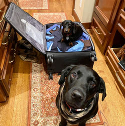 “No, you’re not leaving!”