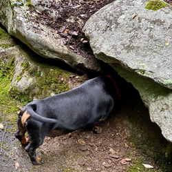 "I know he’s here somewhere!"