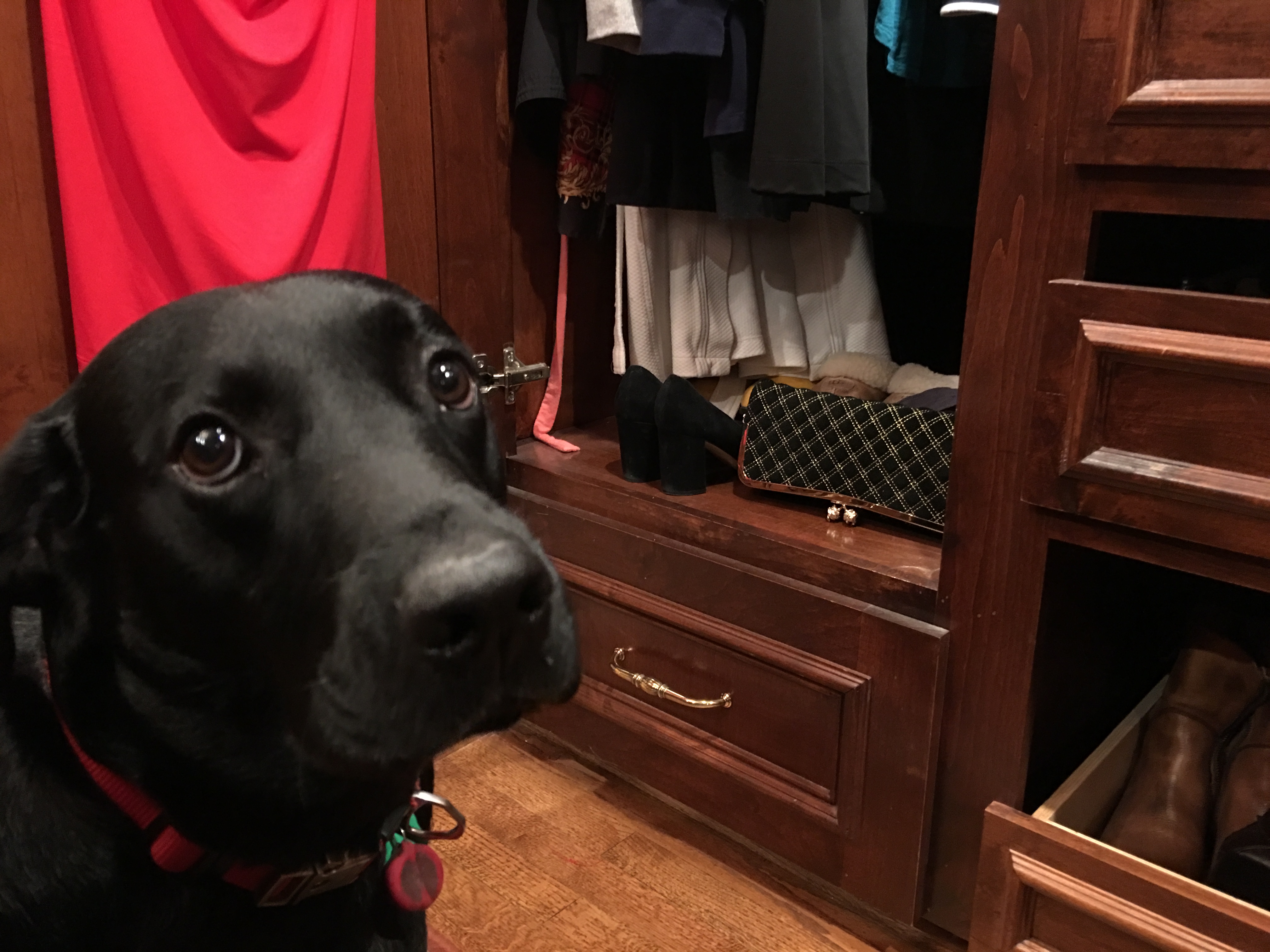 I'll Help You Get Ready