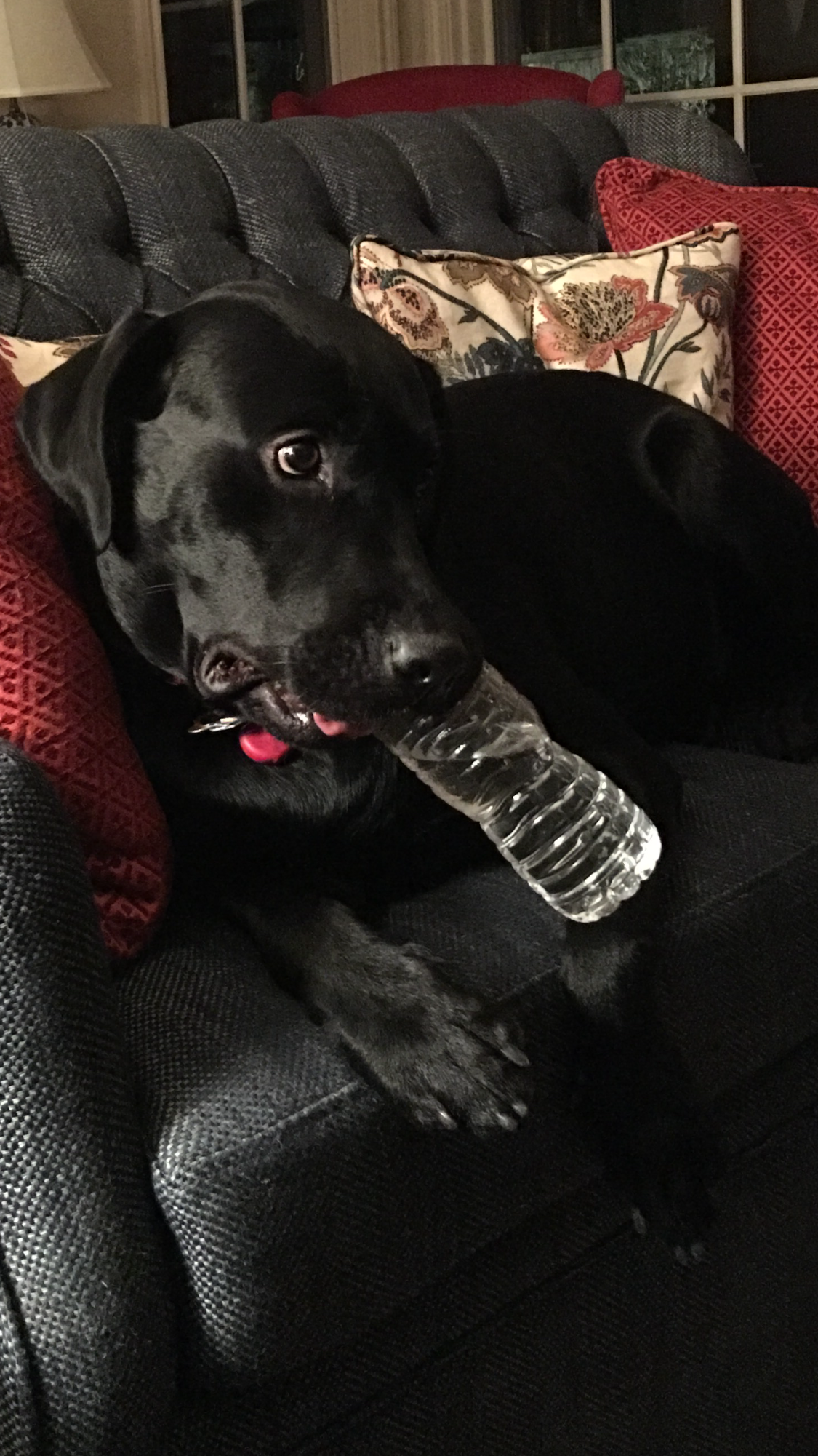 Happy Hour
