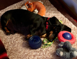 “I can go to sleep now.”-surrounded by favorite toys.