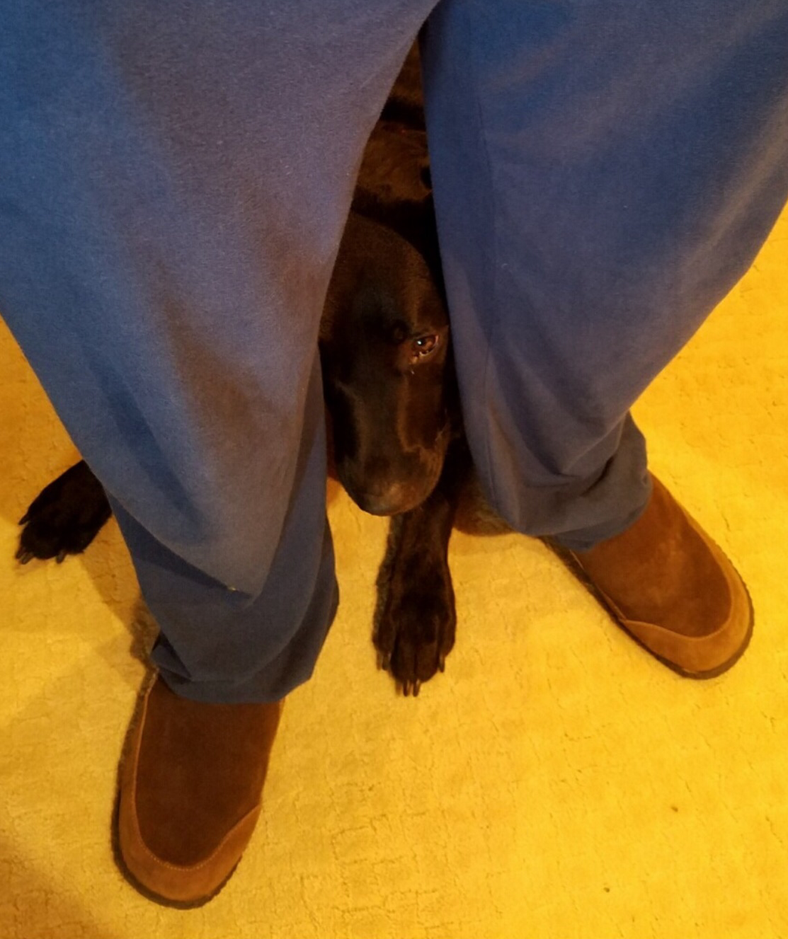 But dad, you don't have to go