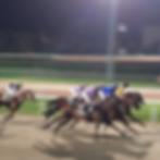 hippodrome Marseille