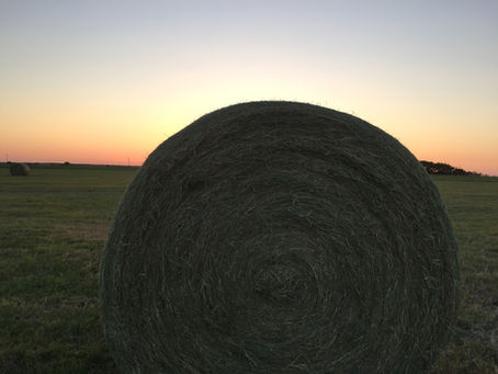Growing Up Clay County