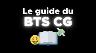 Le guide du BTS CG