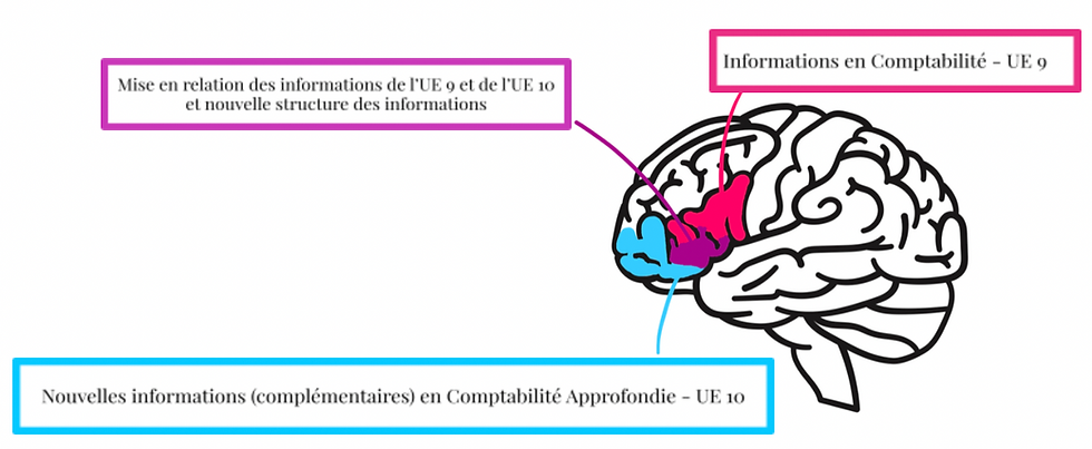 Méthode des J : Outil indispensable pour la mémorisation des cours de DCG