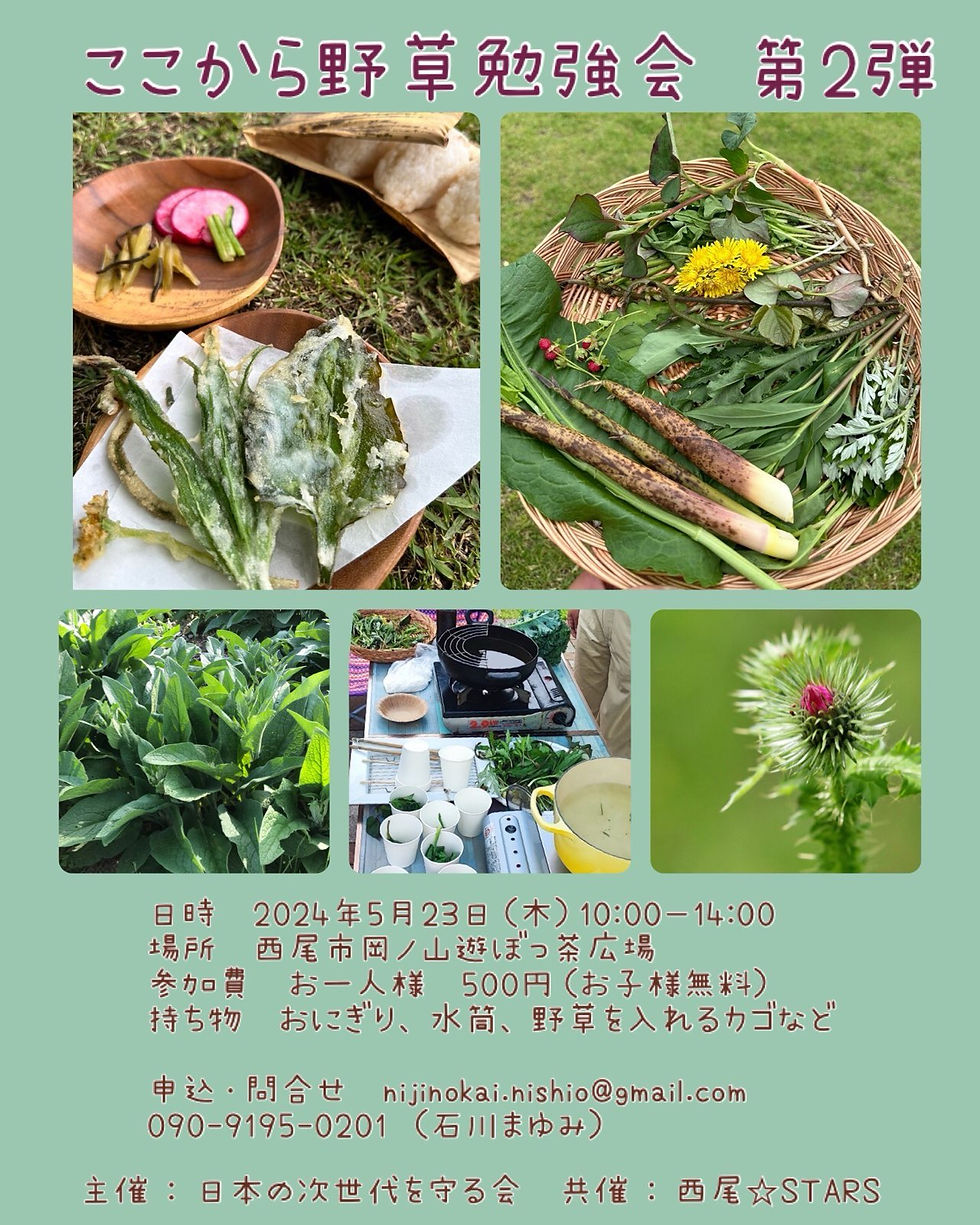 ここから野草勉強会 第２弾