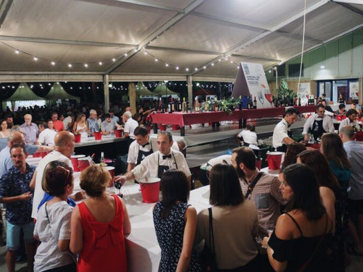 Cuando un festival se convierte en brote: el caso de salmonelosis en el Festival Vino Somontano (España, 2025)