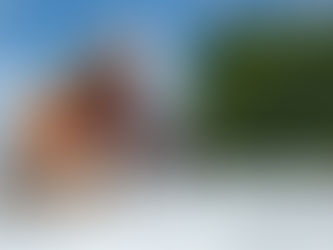 Metal Roofing vs Shingles: Why Metal is the Better Choice for Your Home