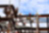 construction-workers-on-steel-beams-in-constructio-2026-01-08-07-47-36-utc.jpg