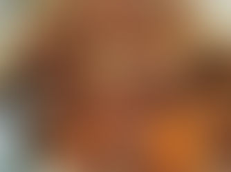 Prato de vaca estufada com esparguete coberto pelo molho rico de carne e tomate