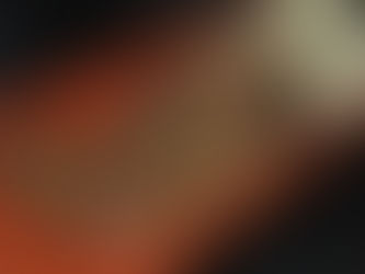 BOCHECHAS DE PORCO NO FORNO