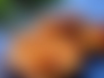 Postas de Tintureira Assada no Forno