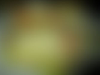 Bacalhau à Noiva – Receita Tradicional Portuguesa com Sabor de Casa