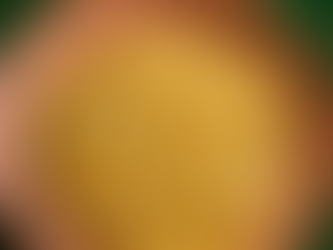 Prato de lasanha desconstruída com massa larga, carne picada e queijo derretido