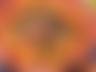 Polvo no forno com alho confitado