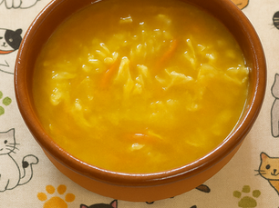 Sopa Juliana tradicional portuguesa com legumes frescos