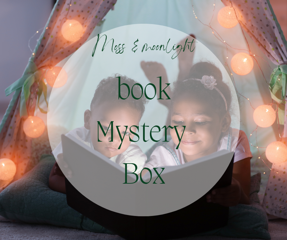 Childrens book mystery box