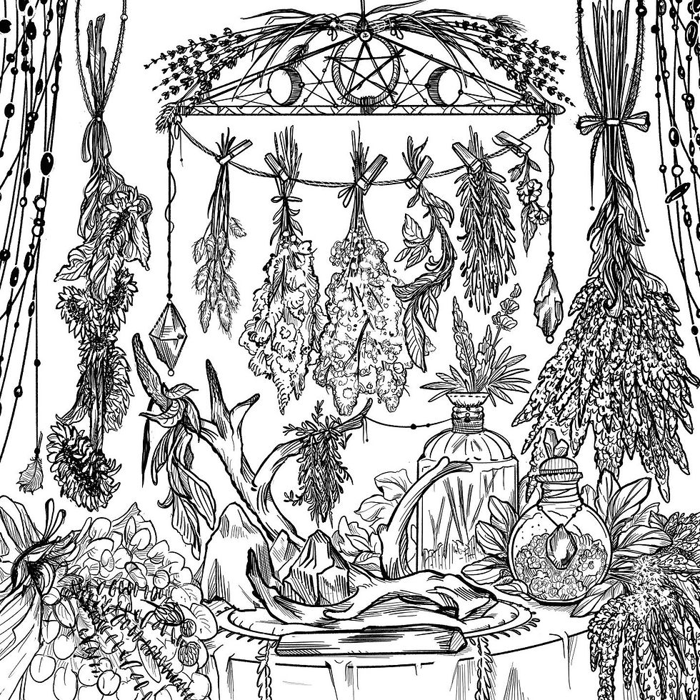 Thumbnail: Green Witch's Coloring Book