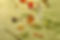 Nolo_SpiritsCategory_002-2.jpg