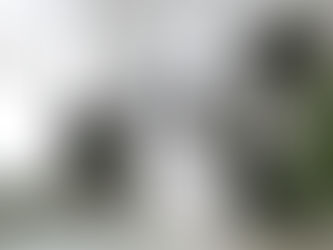 Before You Hire A Designer