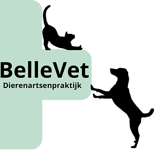 BelleVet  logo