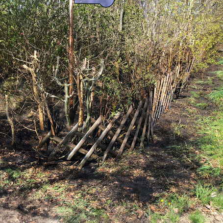 Böschungsbrand K69 Wense (27.04.2021)