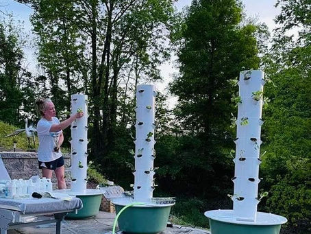 The Science of Aeroponic Gardening - And Why It Matters to Us