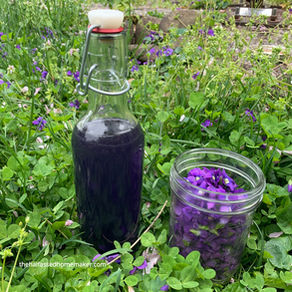 I Made a Thing: Violet Simple Syrup