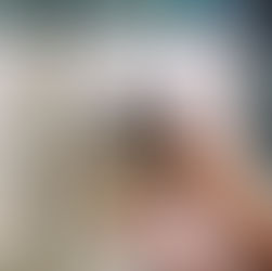 Vidéo de présentation d'un classeur d'activités sur le corps humain