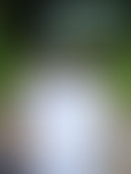 Chasse aux trésors en forêt