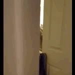 Catching wife moaning to a black man