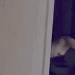 Man catches wife cheating after coming home early