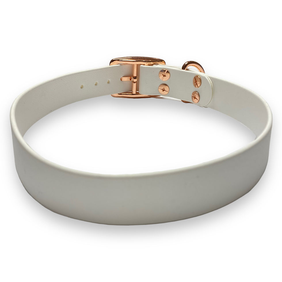 Miniaturbild: Halsband "Biothane Weiss & Rose L"