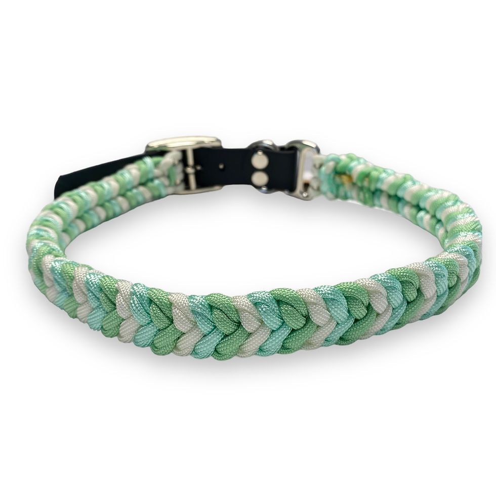 Miniaturbild: Halsband "Paracord - Polar"