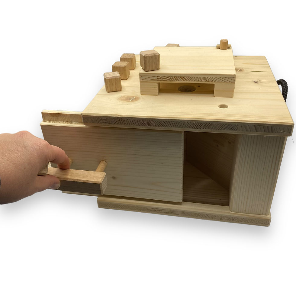 Miniaturbild: Zauberwürfel