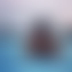 Top Things to do in Reykjavik