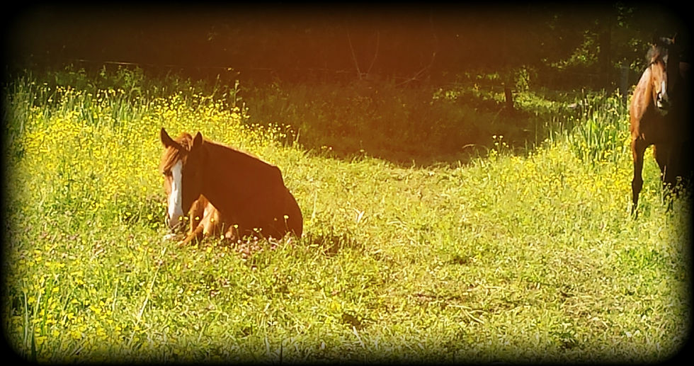 PicsArt_05-29-10.44.29