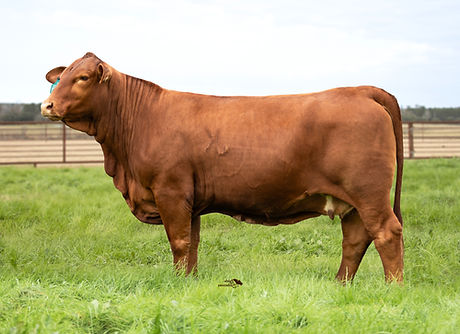 JK Resolution 563/1
